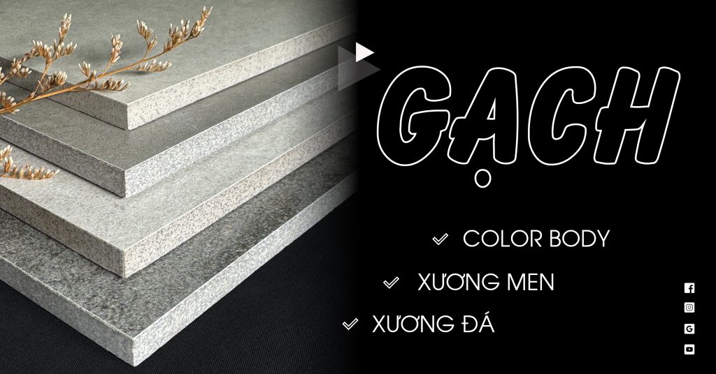 Gạch Color Body vs Xương Men & Xương Đá: So Sánh Chi Tiết